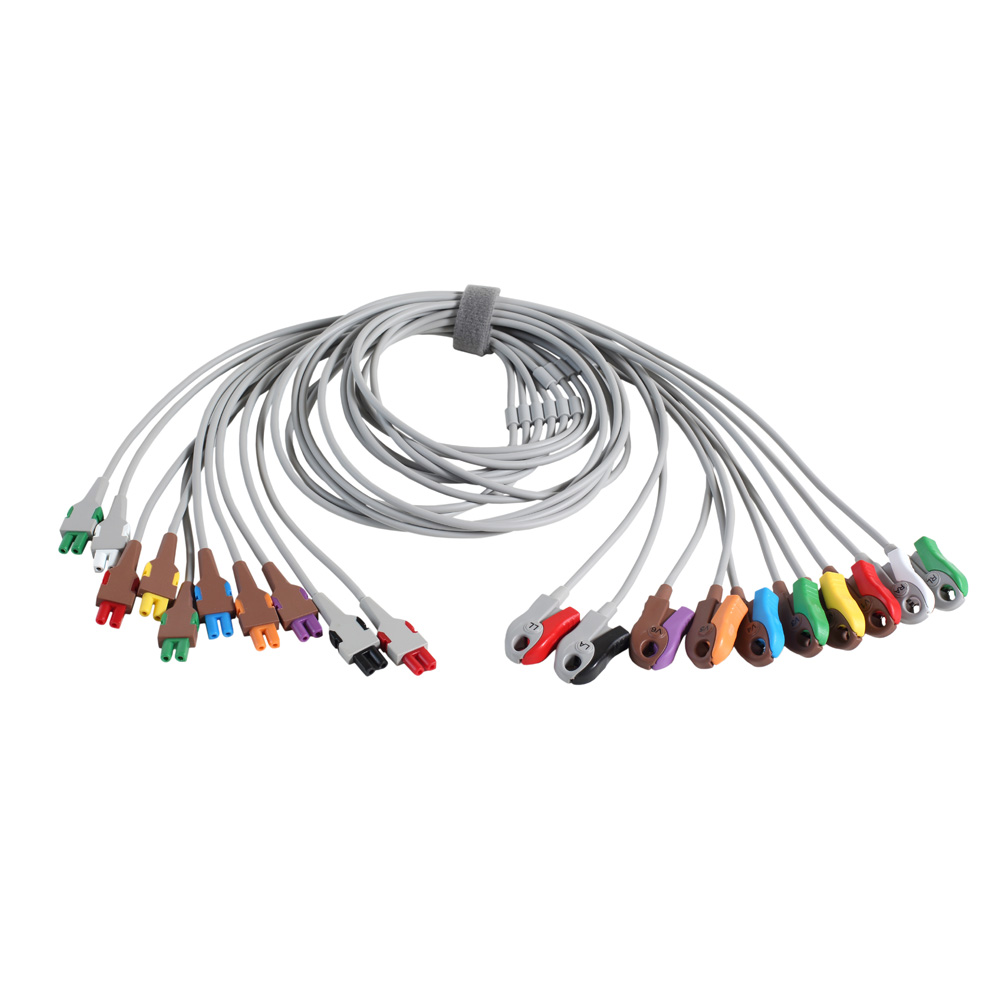 Conjunto de derivaciones, Base 10, garra, AHA Conjunto de derivaciones, Base 10, garra, AHA